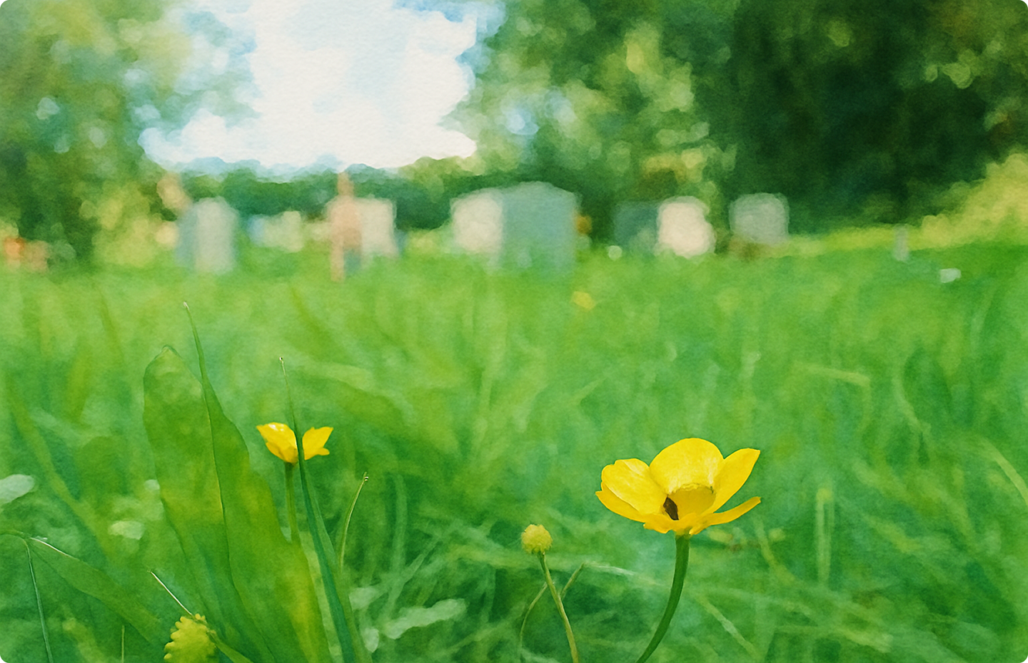 Homepage